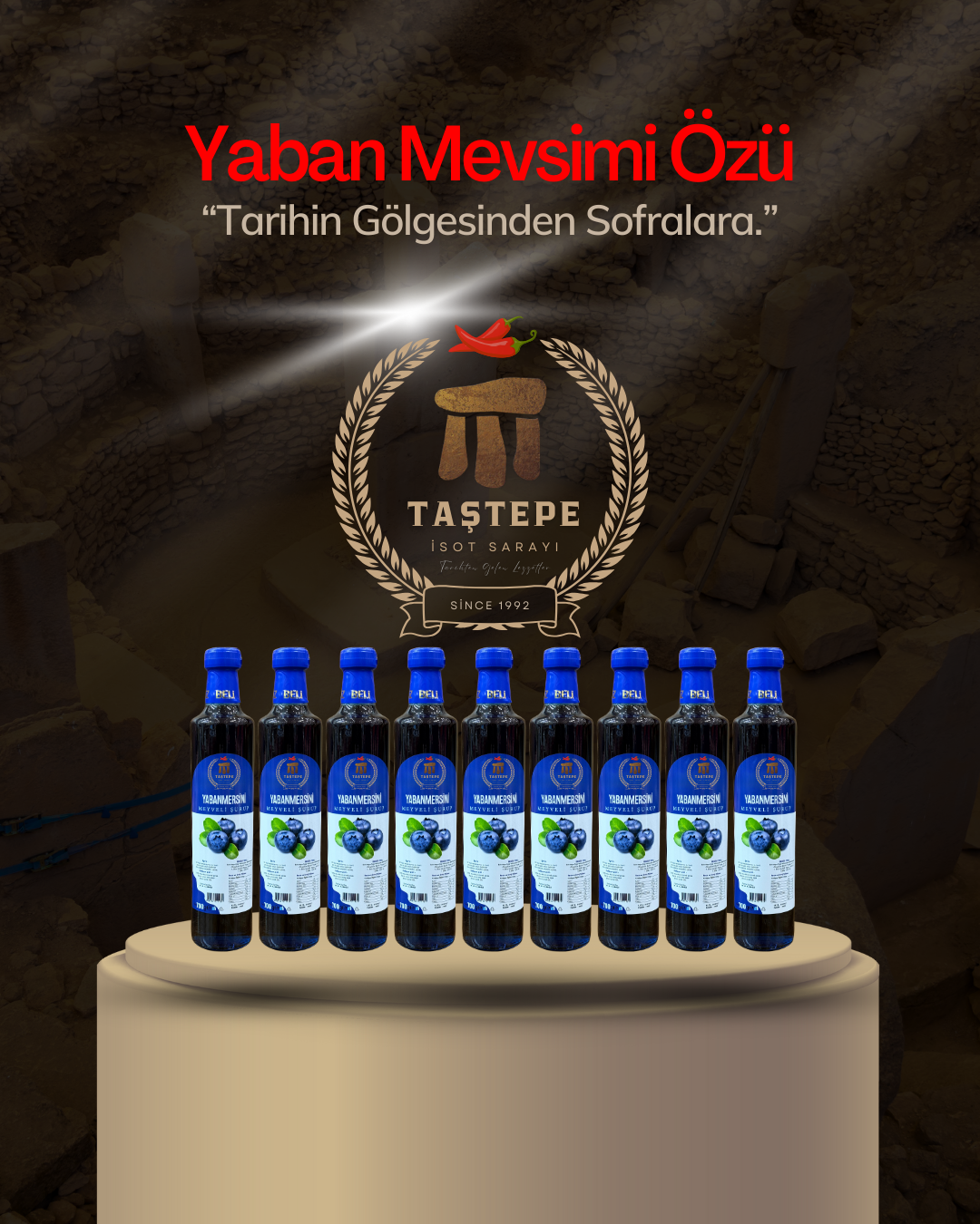 Yaban Mevsimi Özü